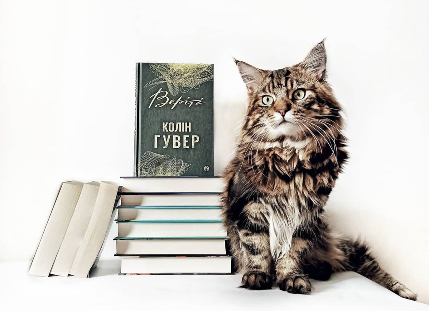 «Де правда, а де вигадка?» – рецензія на «Веріті» Колін Гувер