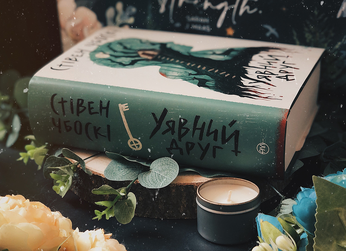 Розмова про роман Стівена Чбоскі «Уявний друг»